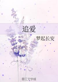 追爱