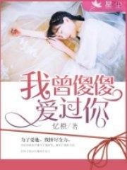 我曾傻傻爱过你陆轩昂夏暖