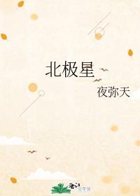 北极星