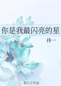 你是我最闪亮的星