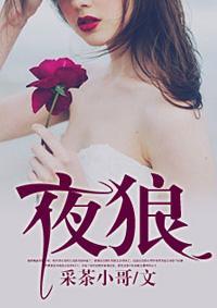 夜狼唐宇谢雨男