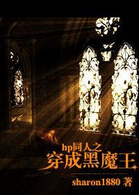 hp同人之穿成黑魔王