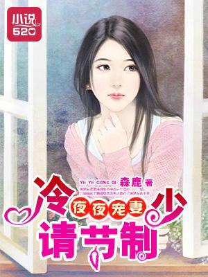 夜夜宠妻:冷少请节制