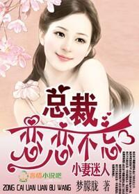 小妻迷人,总裁恋恋不忘