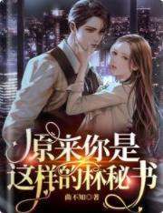 原来你是这样的林秘书