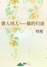 猎人同人——猫的归途