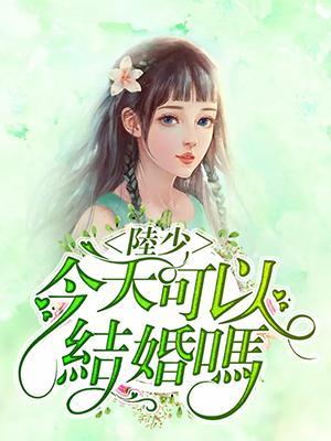 陆少,今天可以结婚吗