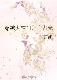 穿越大宅门之白占光