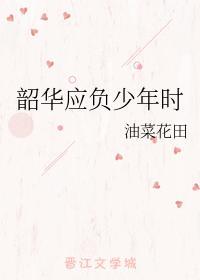 韶华应负少年时