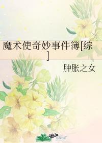 魔术使奇妙事件簿[综]