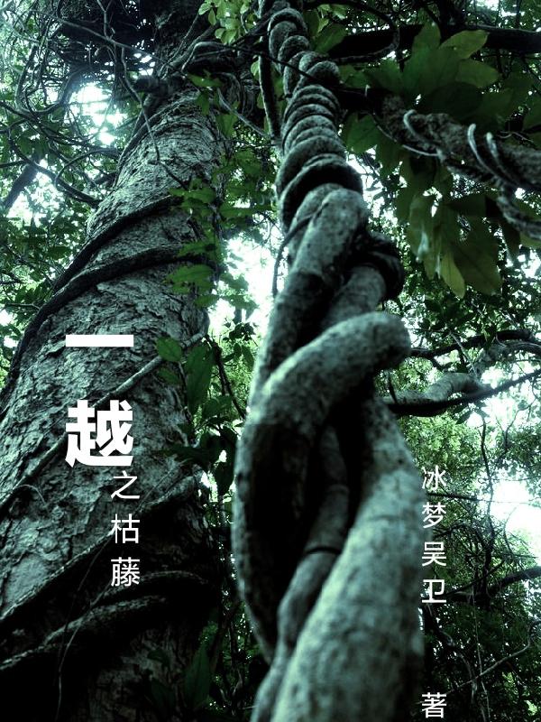 穿越种田文那些年(快穿)