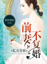 亿万首席,前妻不覆婚