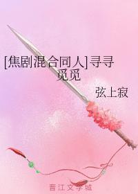 [焦剧混合同人]寻寻觅觅