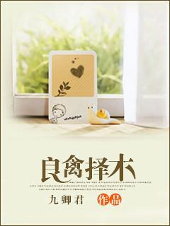 良禽择木