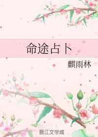 命途占卜