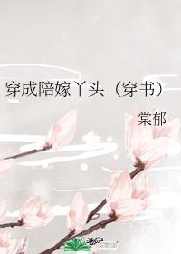 穿成陪嫁丫头（穿书）