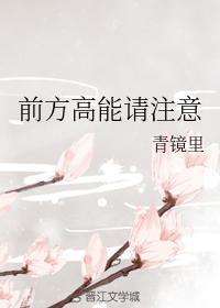 前方高能请註意