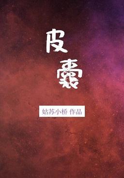 皮囊
