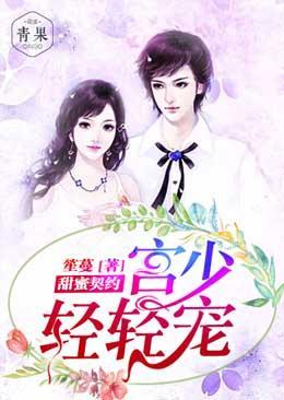 甜蜜契约:宫少轻轻宠