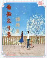 蔷薇花开季