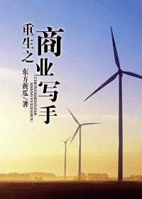 重生之商业写手