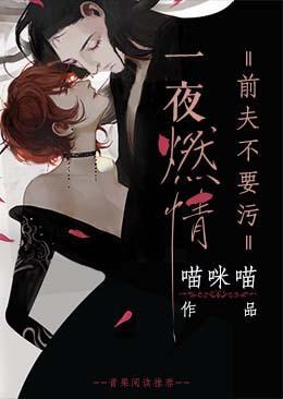 一夜燃情,前夫不要污