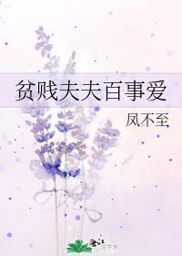 贫贱夫夫百事爱