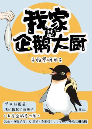 小企鹅求爱日记