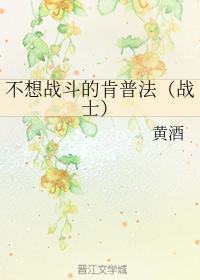 不想战斗的肯普法