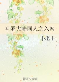 斗罗大陆同人之入网