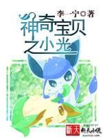 神奇宝贝之小光