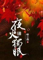 夜火独眠