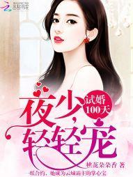 试婚100天:夜少,轻轻宠