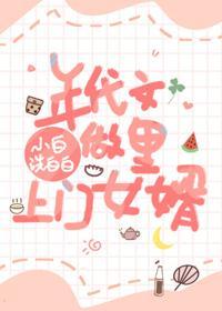 年代文里做上门女婿
