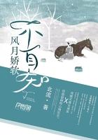 温先生,撩表心意
