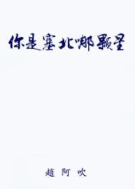 你是塞北哪颗星