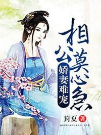 娇妻难宠:相公莫心急