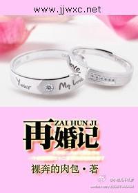 再婚记