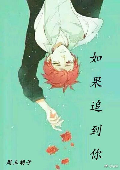 如果追到你