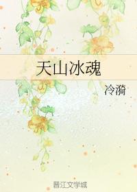 天山冰魂