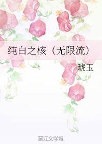 纯白之核(无限流)