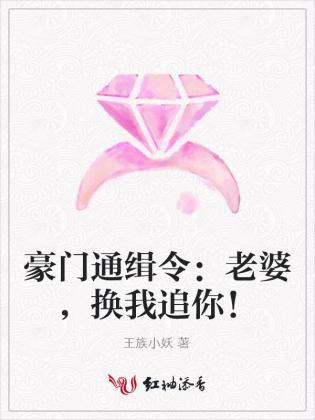 豪门通缉令:老婆,换我追你!