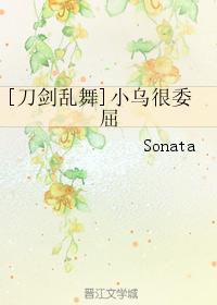 [刀剑乱舞]小乌很委屈