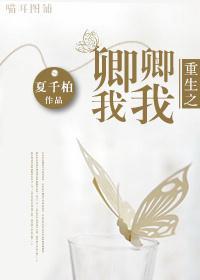 重生之卿卿我我