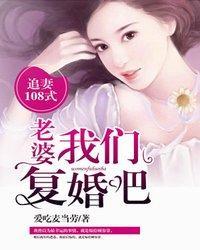 追妻108式:老婆,我们覆婚吧