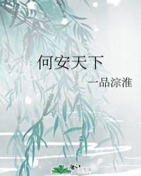 何安天下