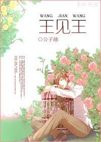 综韩剧之王见王