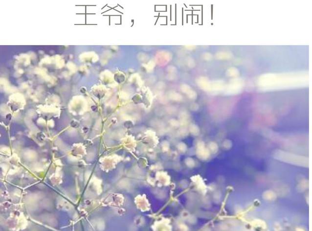 王爷 ，别闹！