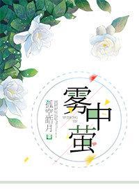 雾中萤