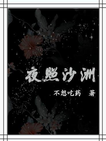 夜照沙洲